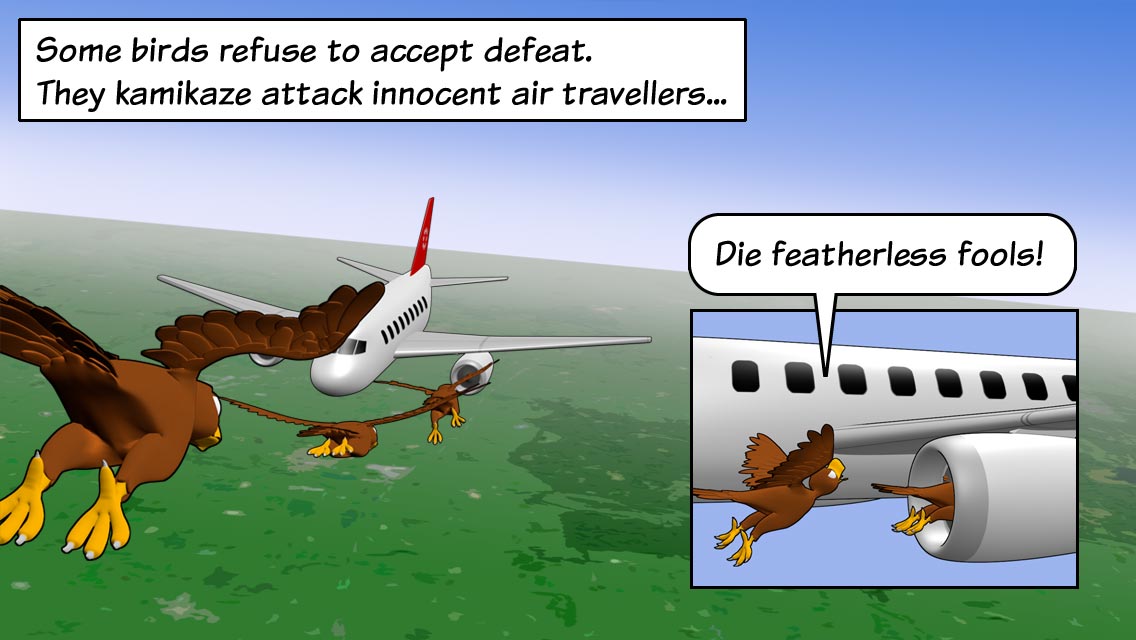 Some birds refuse to accept defeat. They kamikaze attack innocent air travellers...